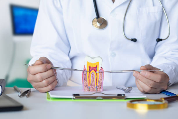 Best Emergency Cosmetic Dentistry in Heath, OH